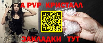ешки Кингисепп