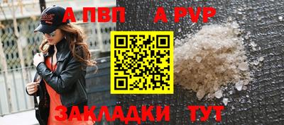 ешки Кингисепп