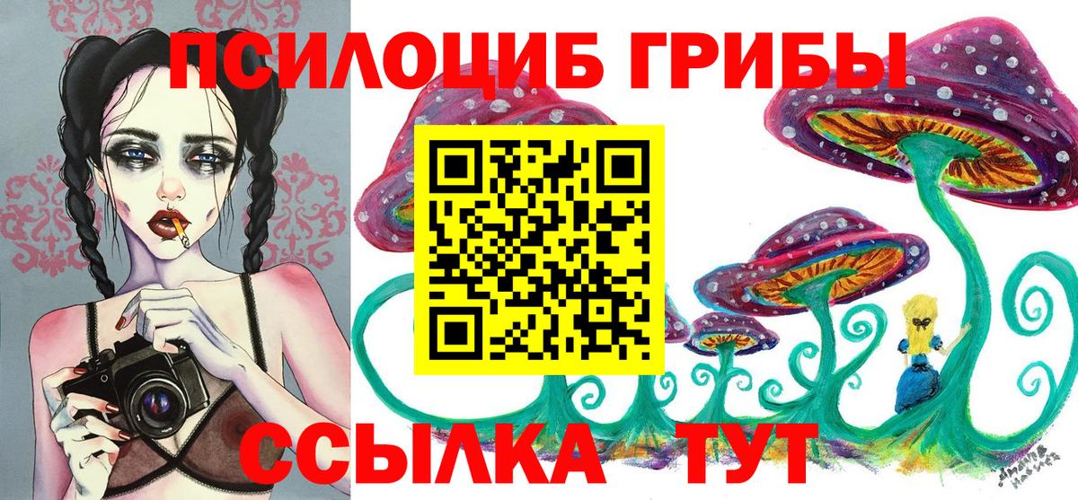 Псилоцибиновые грибы Cubensis Тольятти